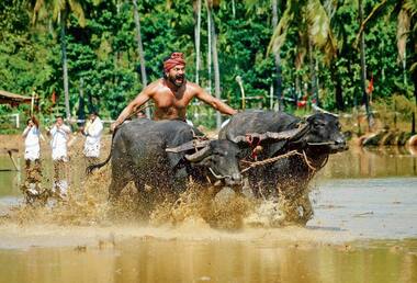 Asianet Image