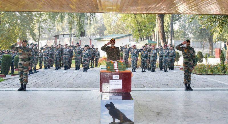 Army Soldiers paid their last respects to the deceased dog Zoom 