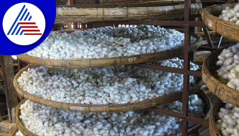 AIDYO opposes cancellation of 2000 posts in  sericulture  department gow