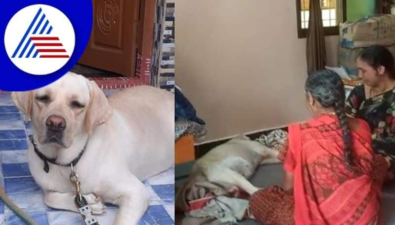 Family members are saddened by the death of their beloved dog at kalburagi