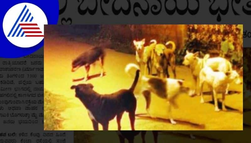 Dogs ate old womans corpse at ganagapur at kalburgi rav