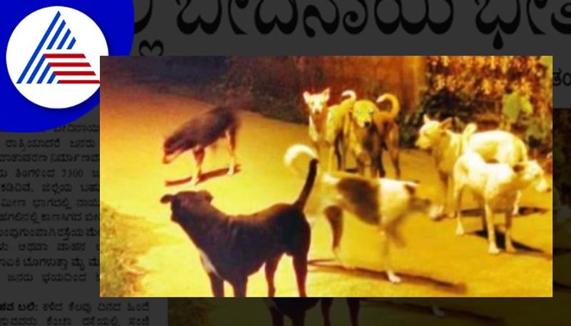 strret dogs problems in karwar uttarakannada rav