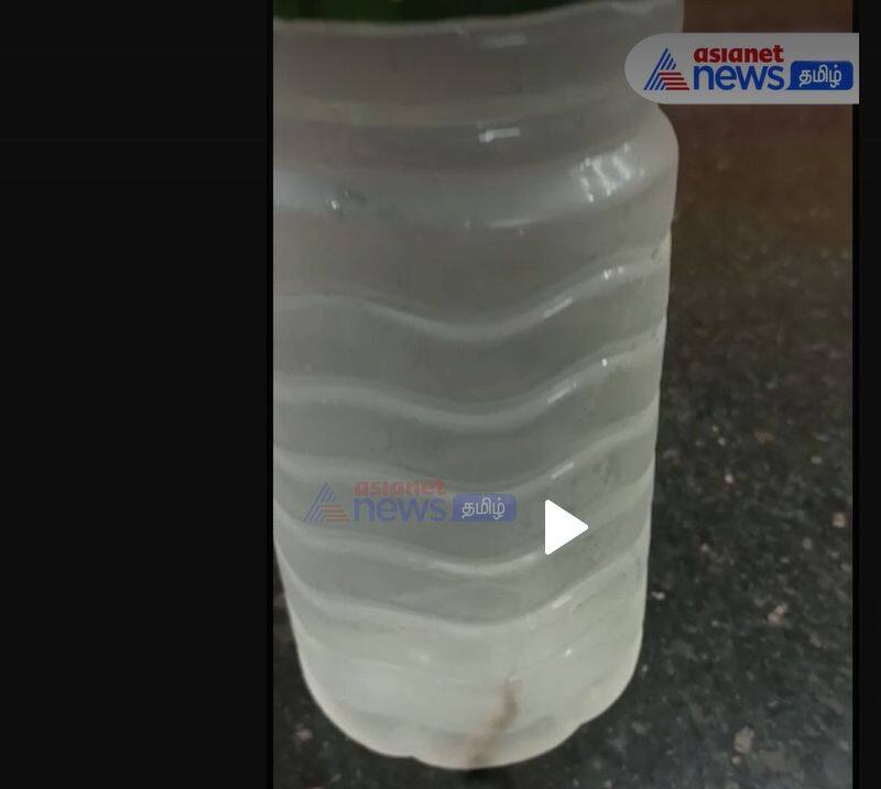 A dead lizard in a water bottle - viral video