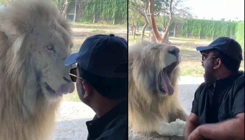 actor aju varghese share funny video with lion