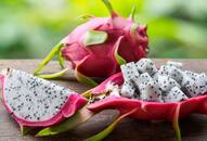 How does Ramji Dubey grow dragon fruit in India What are its health benefits  iwh