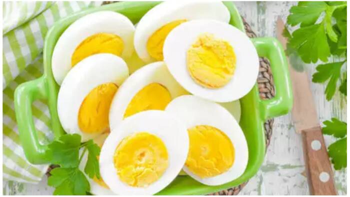 egg