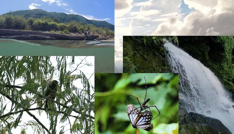 Paradise of the earth, mesmerising beauty of Northeast India video goes viral in Social Media akb