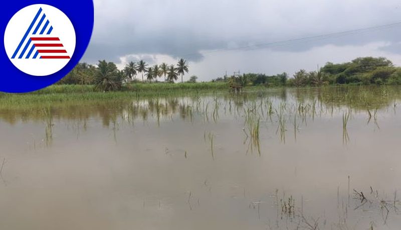 National Highway Submerged in Rain water snr