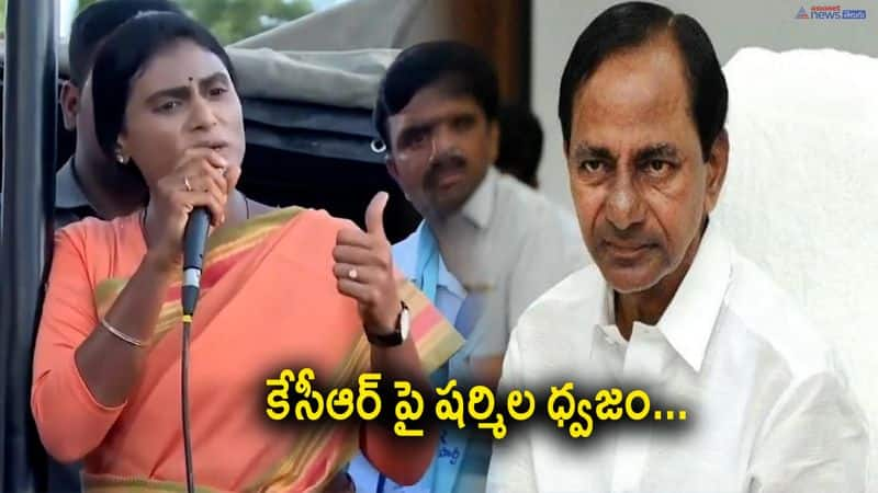 YSRTP Chief Sharmila Sensational Comments on CM KCR in Nizamabad 