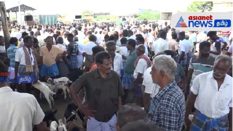 Goats sold for 4 crore rupees in a single day on the occasion of Diwali festival in Nellai Melapalayam cattle market.