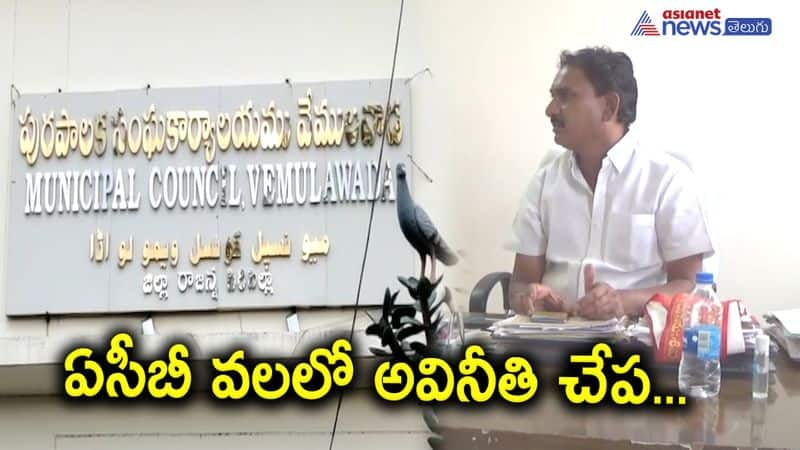 Vemulawada Municipal Commissioner caught red handed by acb