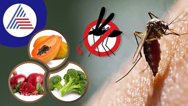 dengue diet you must eat these foods to increase your platelet count and recover faster from dengue fever in tamil mks