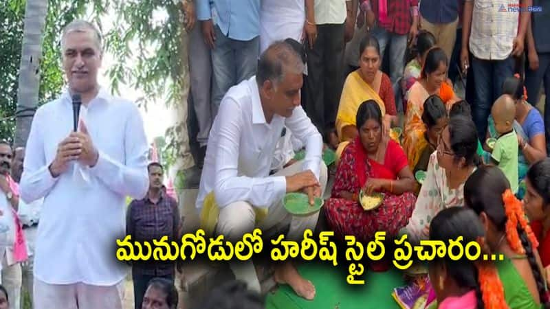 Minister Harish Rao Campaign in Munugode Bypoll 