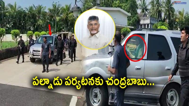 TDP Chief Chandrababu Naidu Palnadu Tour 