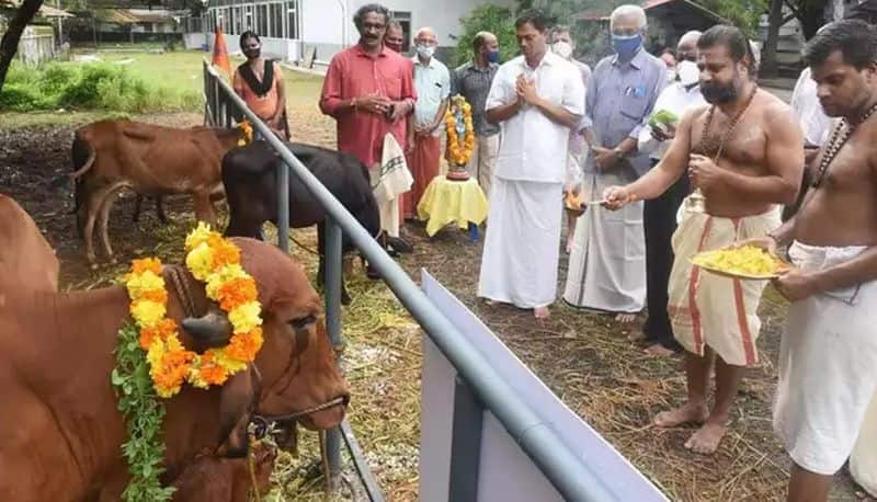 Gopooja in temples on diwali Balipadyami across karnataka gvd