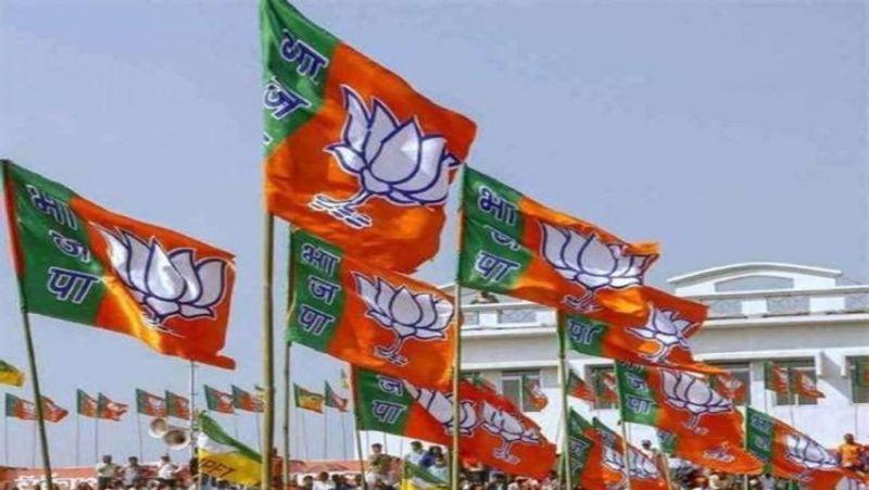   tickets for loyal, party workers in Next Election In Mandya  BJP snr