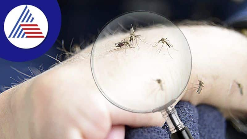 Your Body Smell Could Be Attracting Mosquitoes 