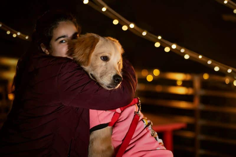 Diwali 2022: Pamper your pets to the fullest this festive season  sur 