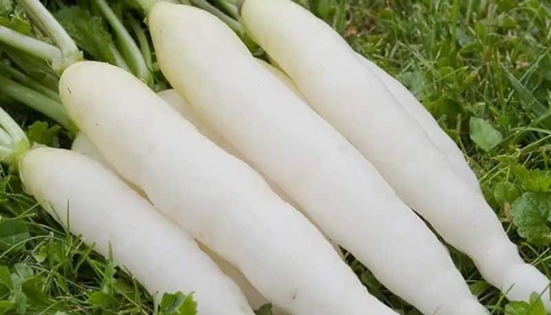 radish can control diabetes and blood pressure