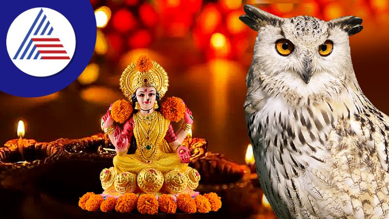 according vastu shastra where to place owl statue at home and office for good luck in tamil mks