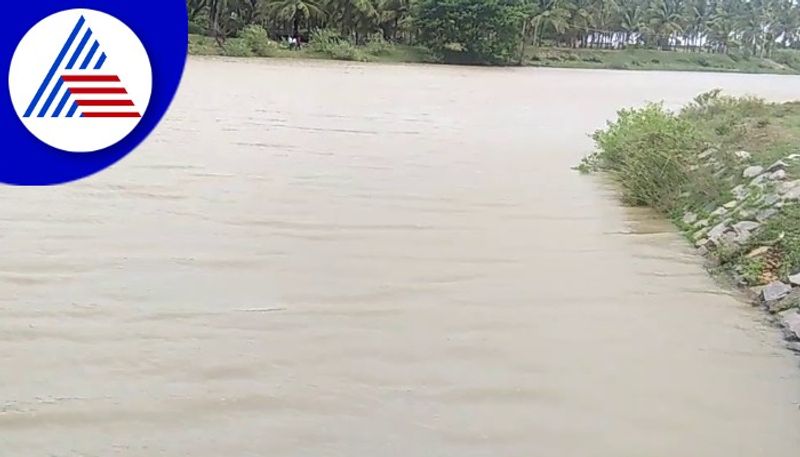 Vedavati flowing beyond danger level at hiriyuru chitradurga rav