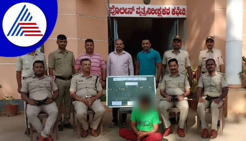 Police Arrested man who theft in home and seized Gold jewellery in Chikkamagaluru gvd