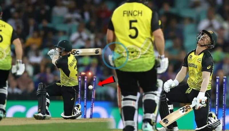 watch video david warner dismissed by most humiliating way