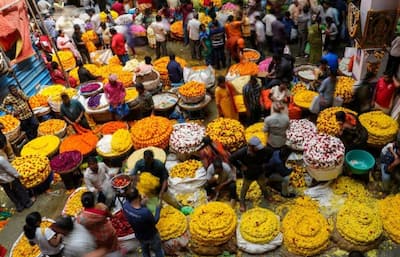 देशभर के बाजारों में दीवाली की रौनक.. खुशी सी झम रहीं महिलाएं, 10 फोटो में देखिए दीपोत्सव के खास पल 