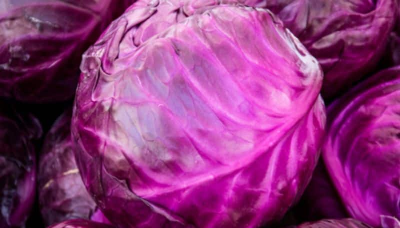 health benefits of beautiful Purple Cabbage