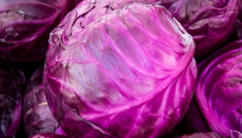 health benefits of beautiful Purple Cabbage