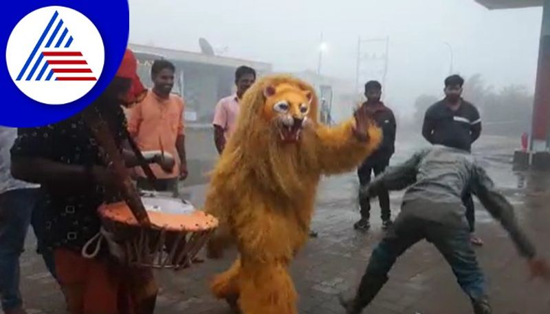 Tiger dance famous in malenadu in diwali festivals at chikkamgaluru 