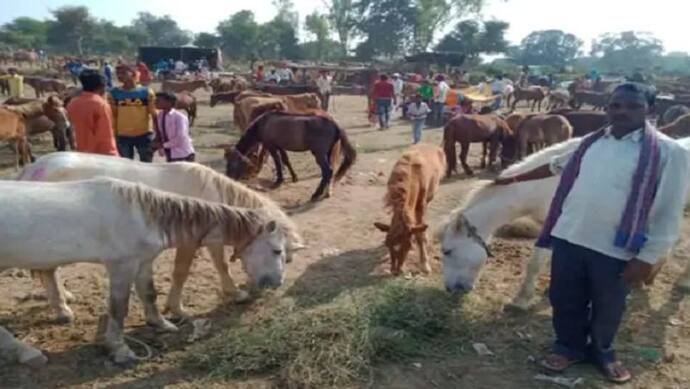 गधों के मेले में बिक रहे 'सलमान', 'शाहरुख' और 'रणबीर', जानिए किसकी कितनी है कीमत