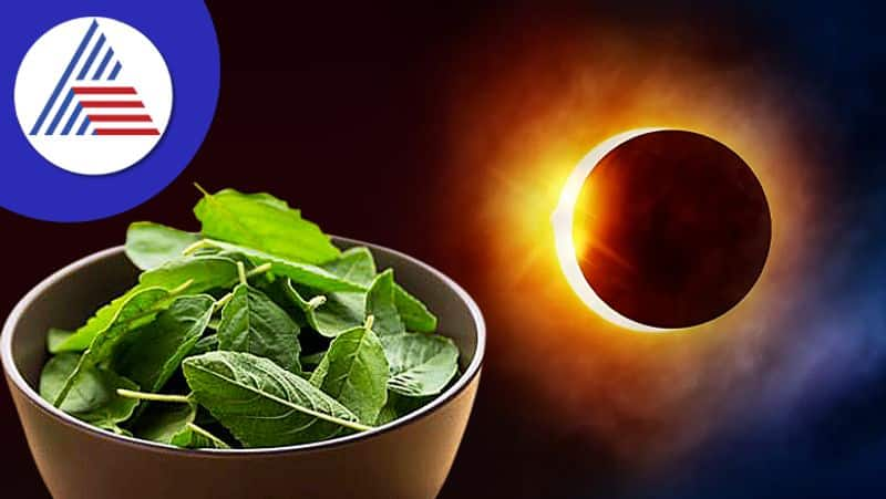 Solar eclipse 2022 significance of putting basil leaves in food skr