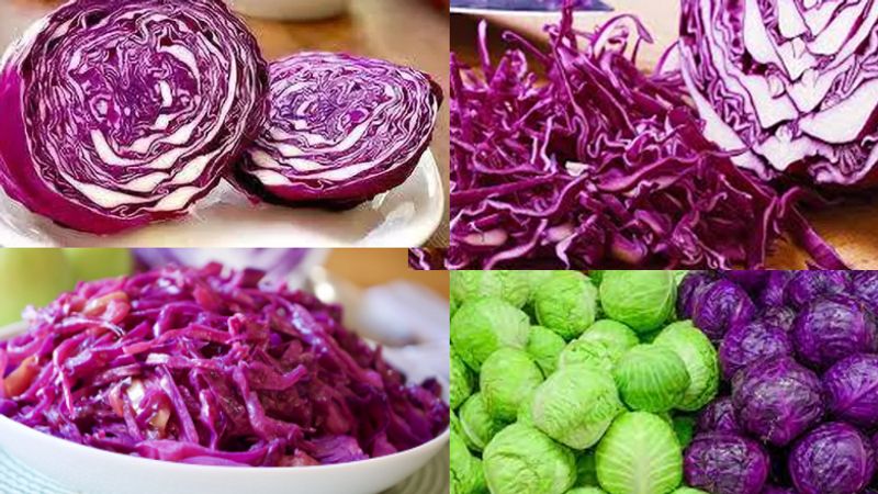 Cabbage is beneficial for our health in many ways say experts