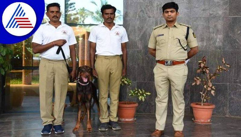 Four Arrested on Murder Case With Help of Police Dog Rambo in Gadag grg