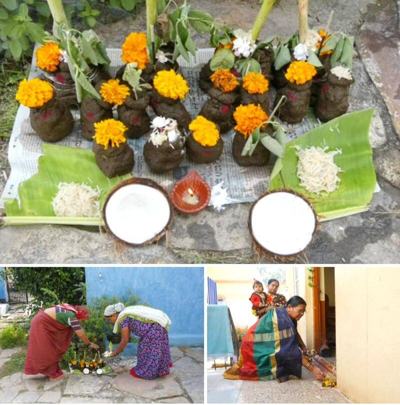 cow dung Pandava puja in Bagalkot during Bali padyami skr