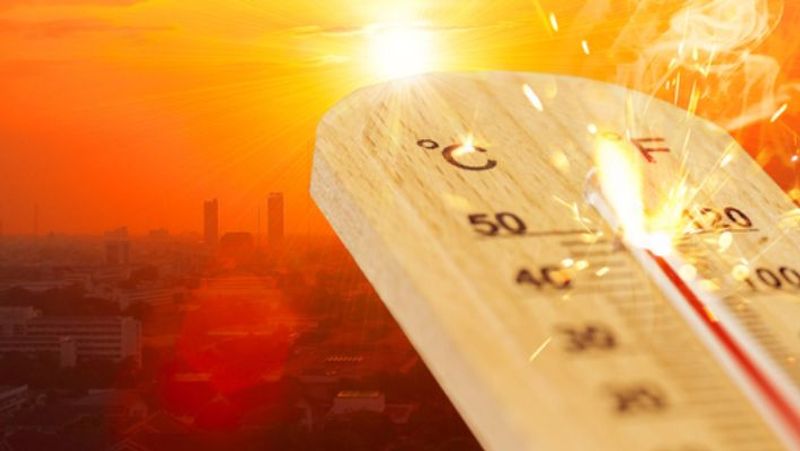 extreme heat will continue in the state high temperature warning in five districts vcd