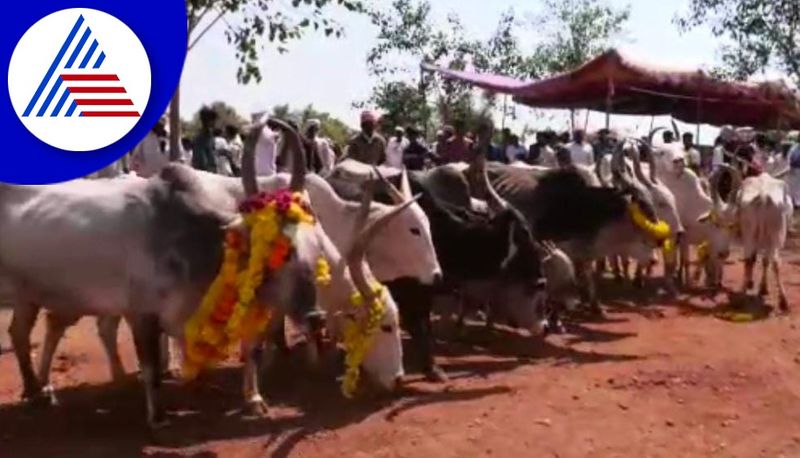 Panchapadi Utsava in Chitradurga on the occasion of Deepavali gvd