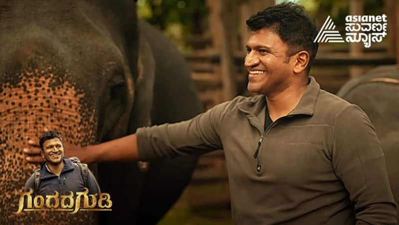 Puneeth Rajkumars Gandhada Gudi is Celebrated all over Karnataka gvd