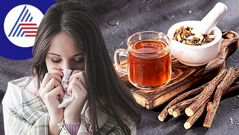 Start Chewing Liquorice Root, Diseases Like Cough Will Stay Away In whole Winter Vin