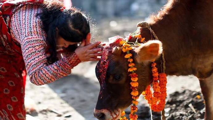 Gopashtami 2022: कब मनाया जाएगा गोपाष्टमी पर्व? जानें शुभ मुहूर्त, पूजा विधि, कथा और महत्व