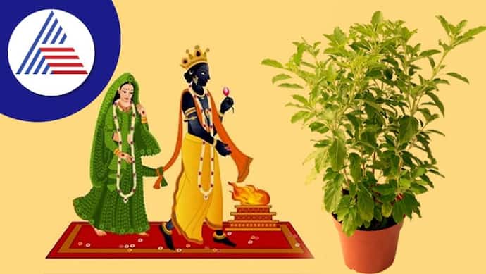 Asianet Image