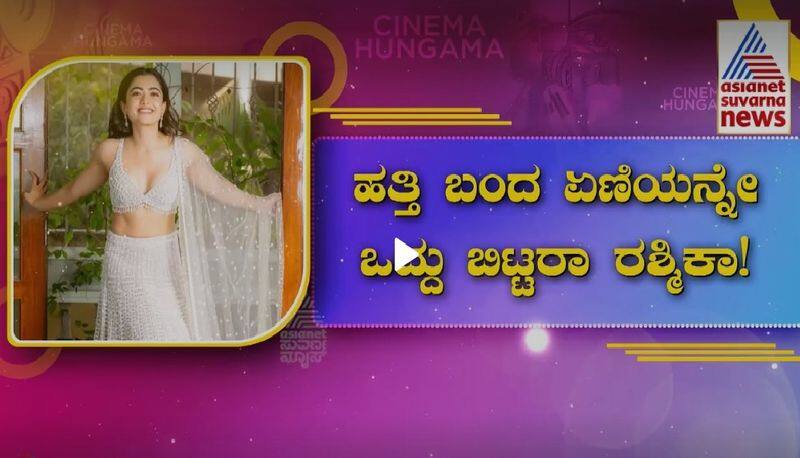 rashmika mandanna not even mentions production house that launched her in interview gets trolled gvd