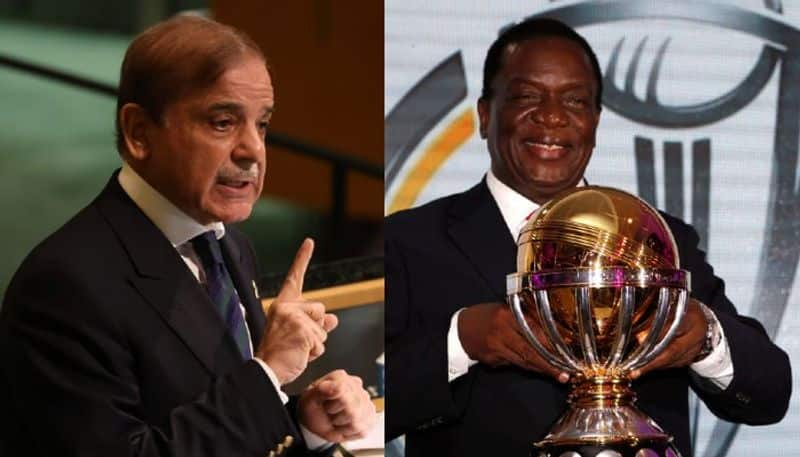 T20 World Cup 2022:Pakistan PM responds to Zimbabwe Presidents Mr Bean dig