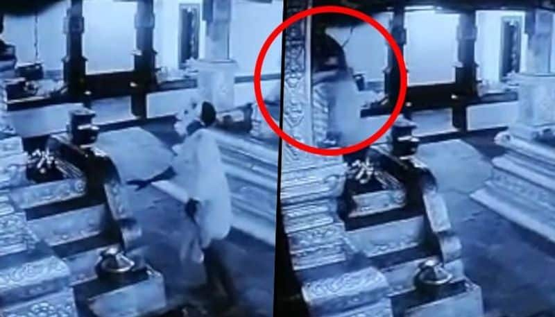 Viral video: Thief offers prayers to deity before temple robbery