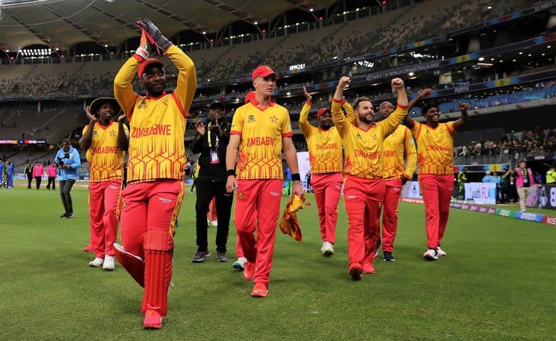 Zimbabwe cricket back on track after great performance in T20WC