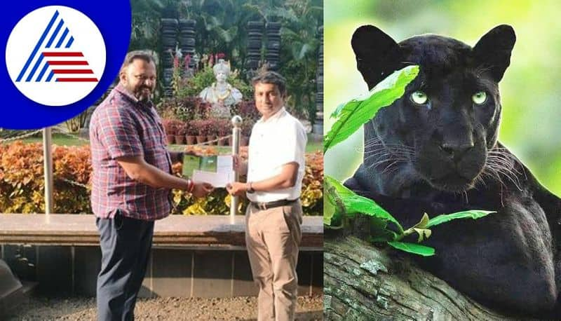 MLA B Harshavardhan Adopts Black Panther From Mysuru Zoo gvd