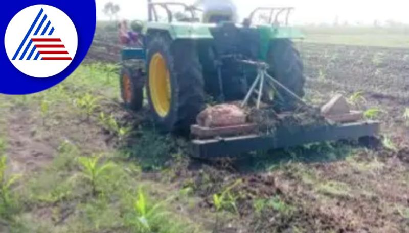 Heavy rains crop damage  farmer whose maize is washed away rav