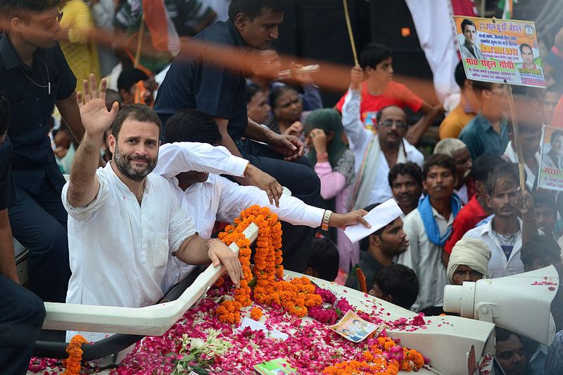 viral video of Rahul Gandhi chills with pet dog during Bharat Jodo Yatra