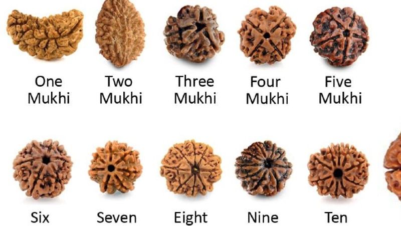 types of rudhrakshas from 5-9 faces and its benefits